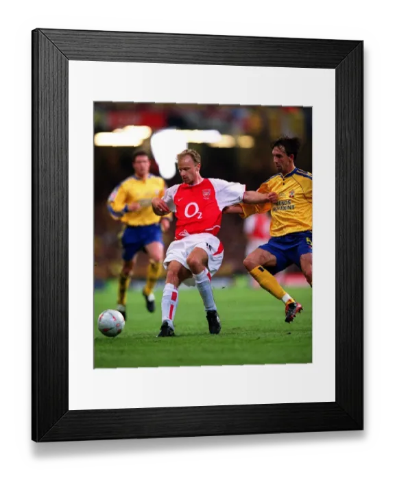 Framed Print : Dennis Bergkamp (Arsenal) Claus Lundekvam (Southampton)