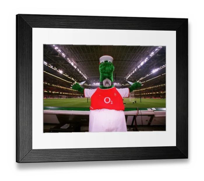 Framed Print : Gunner under the closed roof before the match. Arsenal 1: 0 Southampton. The F Framed Print : Gunner under the closed roof before the match. Arsenal 1: 0 Southampton. The F