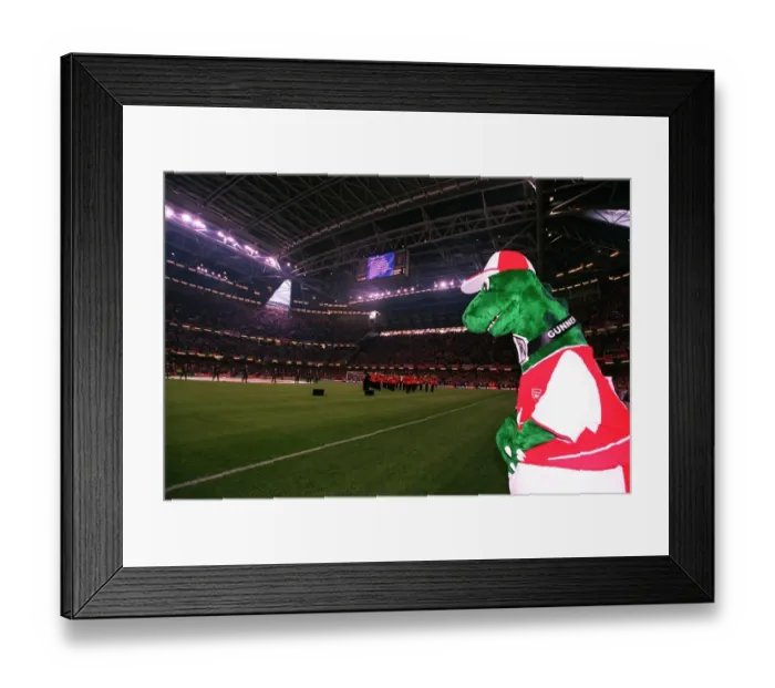 Framed Print : Gunner looks out at the pitch before the match. Arsenal 1: 0 Southampton. The F Framed Print : Gunner looks out at the pitch before the match. Arsenal 1: 0 Southampton. The F
