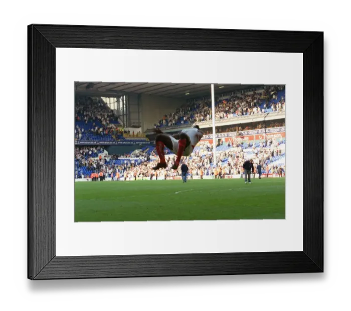 Framed Print : Euphoria Unleashed: Kolo Toure's Backflip - Arsenal's FA Premiership Triumph over Tottenham, 2004 Framed Print : Euphoria Unleashed: Kolo Toure's Backflip - Arsenal's FA Premiership Triumph over Tottenham, 2004