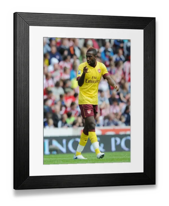 Framed Print : Johan Djourou (Arsenal). Stoke City 3: 1 Arsenal, Barclays Premier League Framed Print : Johan Djourou (Arsenal). Stoke City 3: 1 Arsenal, Barclays Premier League