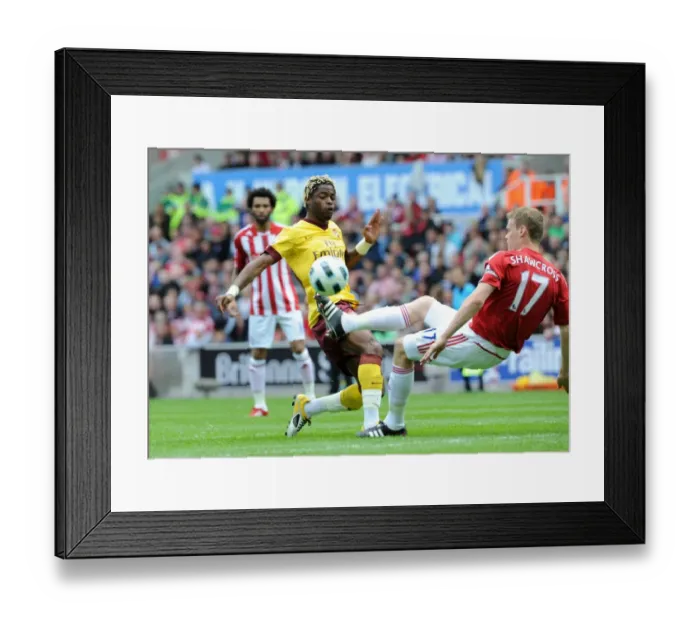 Framed Print : Alex Song (Arsenal) Ryan Shawcross (Stoke). Stoke City 3: 1 Arsenal. Barclays Premier League