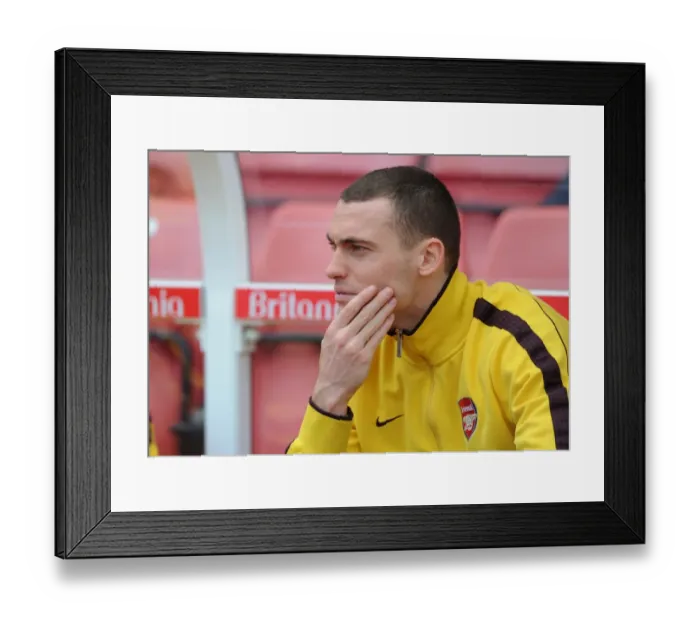 Framed Print : Thomas Vermaelen (Arsenal). Stoke City 3: 1 Arsenal, Barclays Premier League Framed Print : Thomas Vermaelen (Arsenal). Stoke City 3: 1 Arsenal, Barclays Premier League