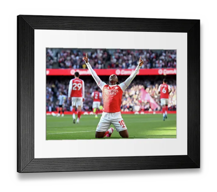 Framed Print : Arsenal v Newcastle United - Premier League Framed Print : Arsenal v Newcastle United - Premier League