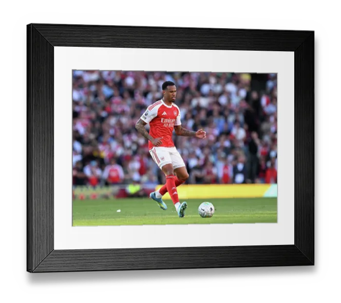 Framed Print : Arsenal v Newcastle United - Premier League Framed Print : Arsenal v Newcastle United - Premier League