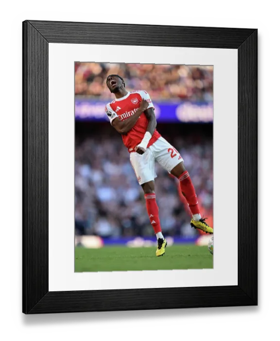 Framed Print : Arsenal v Newcastle United - Premier League Framed Print : Arsenal v Newcastle United - Premier League