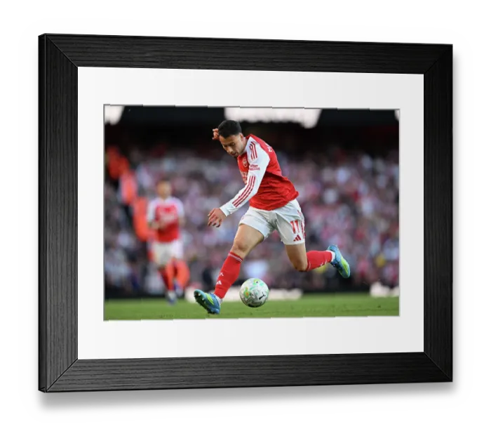 Framed Print : Arsenal v Newcastle United - Premier League Framed Print : Arsenal v Newcastle United - Premier League