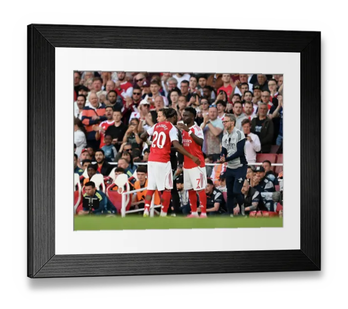 Framed Print : Arsenal v Newcastle United - Premier League Framed Print : Arsenal v Newcastle United - Premier League