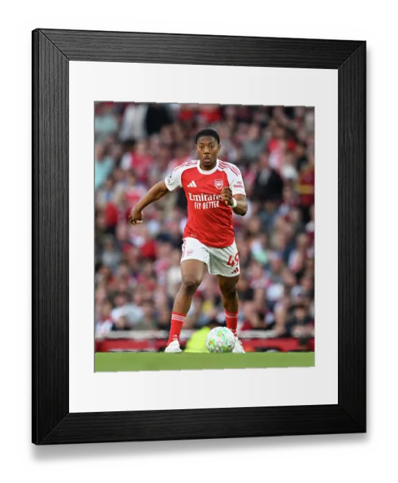 Framed Print : Arsenal v Newcastle United - Premier League Framed Print : Arsenal v Newcastle United - Premier League