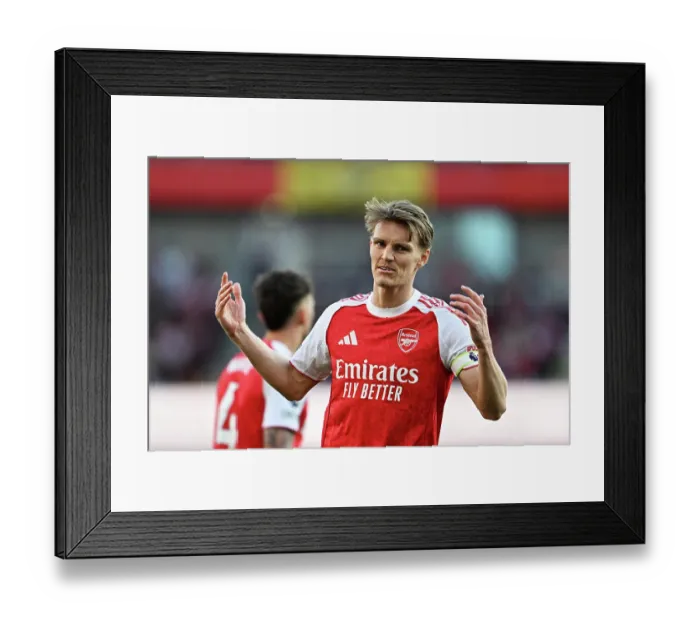 Framed Print : Arsenal v Newcastle United - Premier League Framed Print : Arsenal v Newcastle United - Premier League