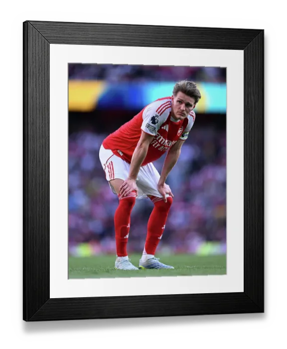 Framed Print : Arsenal v Newcastle United - Premier League Framed Print : Arsenal v Newcastle United - Premier League