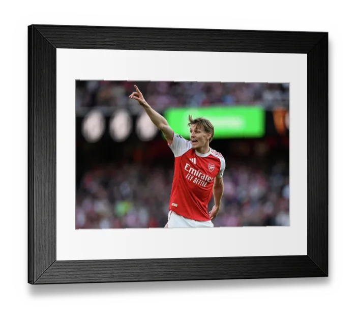 Framed Print : Arsenal v Newcastle United - Premier League Framed Print : Arsenal v Newcastle United - Premier League