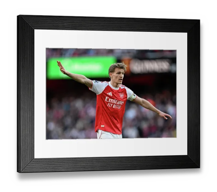 Framed Print : Arsenal v Newcastle United - Premier League Framed Print : Arsenal v Newcastle United - Premier League