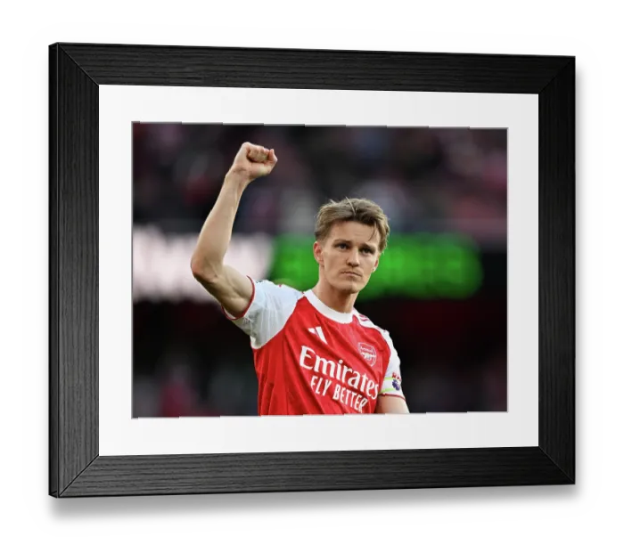 Framed Print : Arsenal v Newcastle United - Premier League Framed Print : Arsenal v Newcastle United - Premier League
