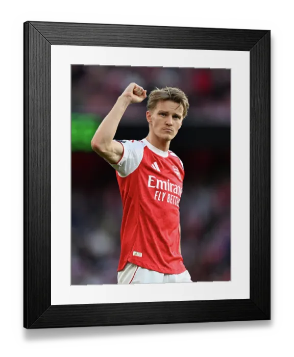 Framed Print : Arsenal v Newcastle United - Premier League