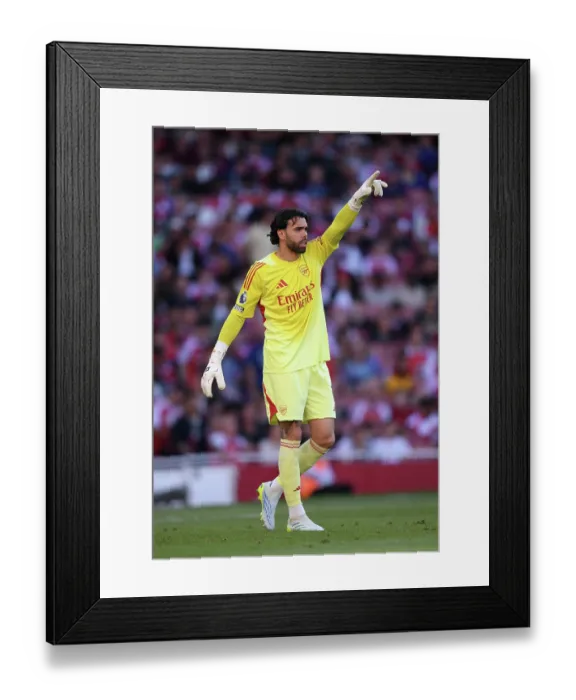 Framed Print : Arsenal v Newcastle United - Premier League