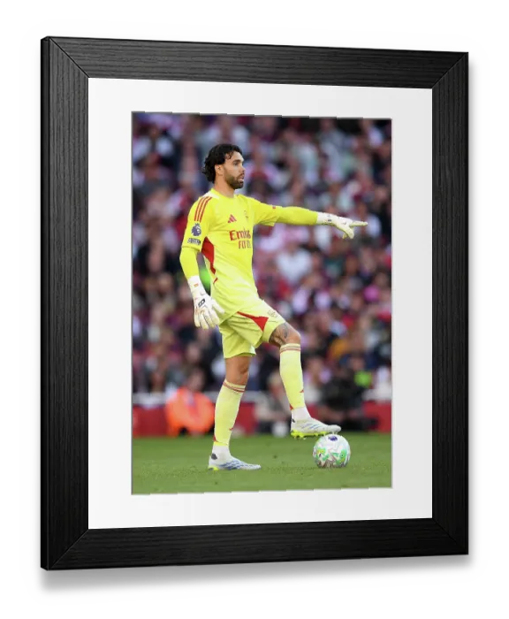 Framed Print : Arsenal v Newcastle United - Premier League