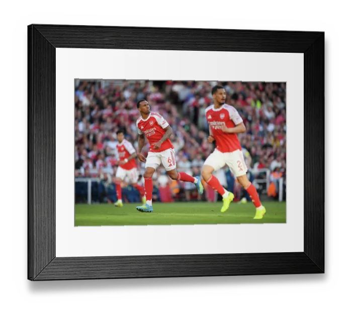 Framed Print : Arsenal v Newcastle United - Premier League Framed Print : Arsenal v Newcastle United - Premier League