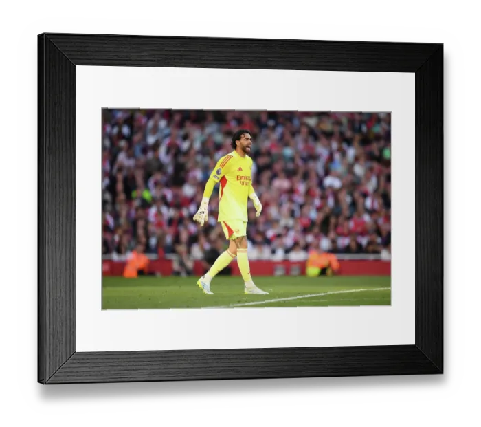 Framed Print : Arsenal v Newcastle United - Premier League