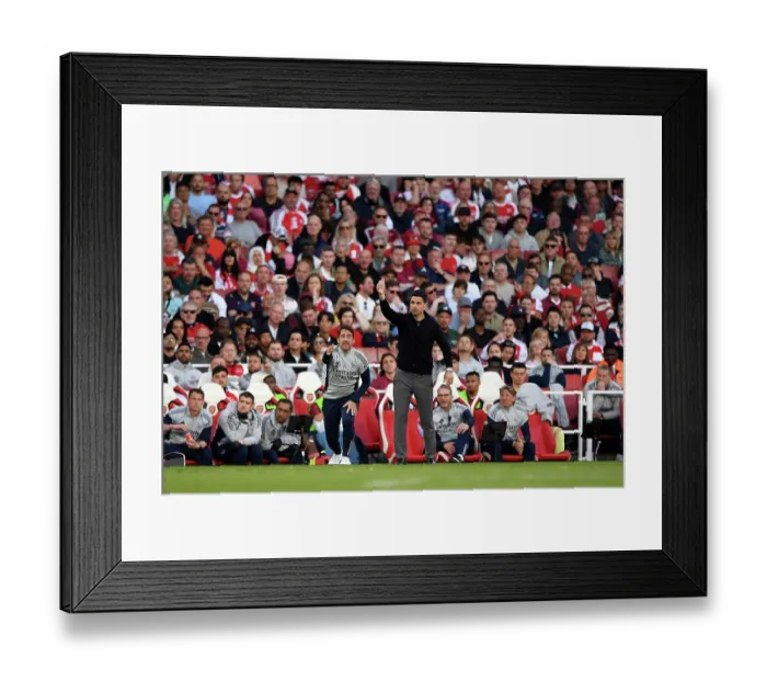 Framed Print : Arsenal v Newcastle United - Premier League Framed Print : Arsenal v Newcastle United - Premier League