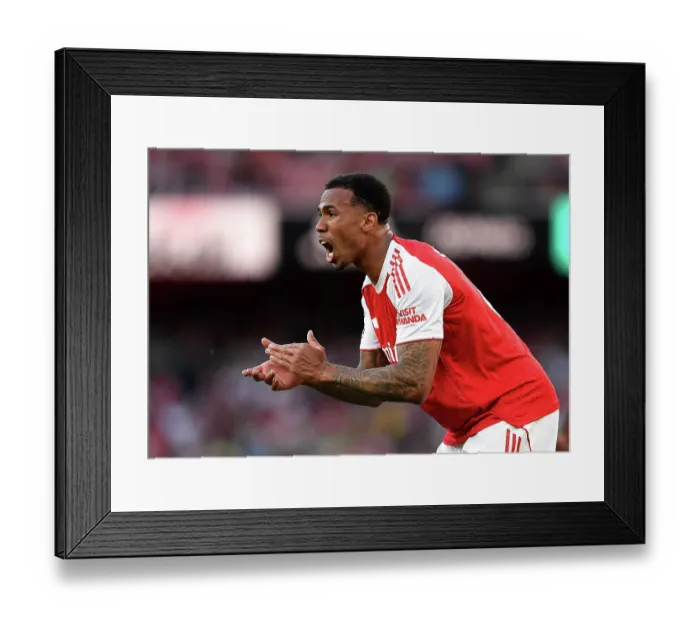 Framed Print : Arsenal v Newcastle United - Premier League Framed Print : Arsenal v Newcastle United - Premier League