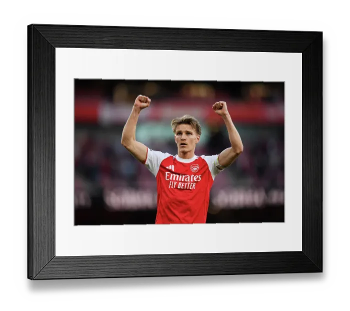 Framed Print : Arsenal v Newcastle United - Premier League Framed Print : Arsenal v Newcastle United - Premier League
