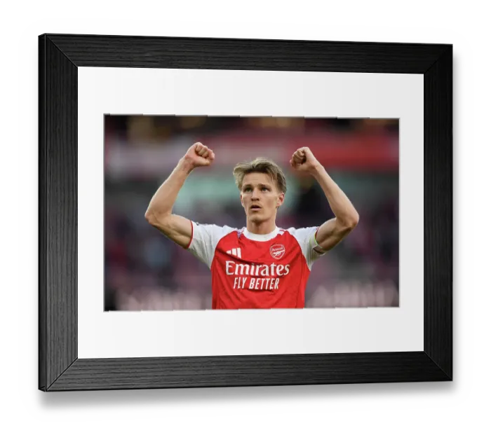 Framed Print : Arsenal v Newcastle United - Premier League Framed Print : Arsenal v Newcastle United - Premier League