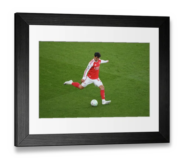 Framed Print : Arsenal v Newcastle United - Premier League