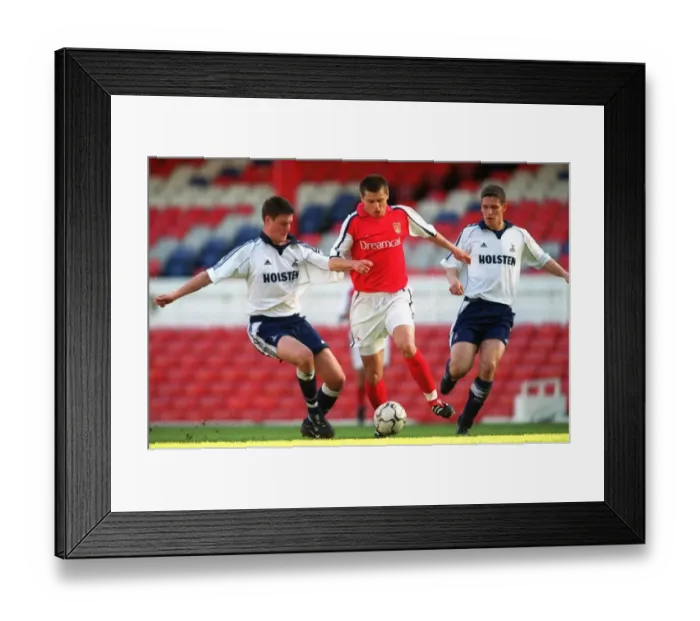 Framed Print : Arsenal's Dominance: Tomas Danilevicius Scores in Arsenal's 4-0 Victory over Tottenham at Highbury, 2001 Framed Print : Arsenal's Dominance: Tomas Danilevicius Scores in Arsenal's 4-0 Victory over Tottenham at Highbury, 2001