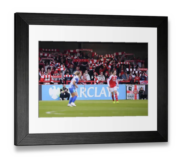 Framed Print : Brighton & Hove Albion v Arsenal - Barclays Women's Super League Brighton & Hove Albion v Arsenal - Barclays Women's Super League