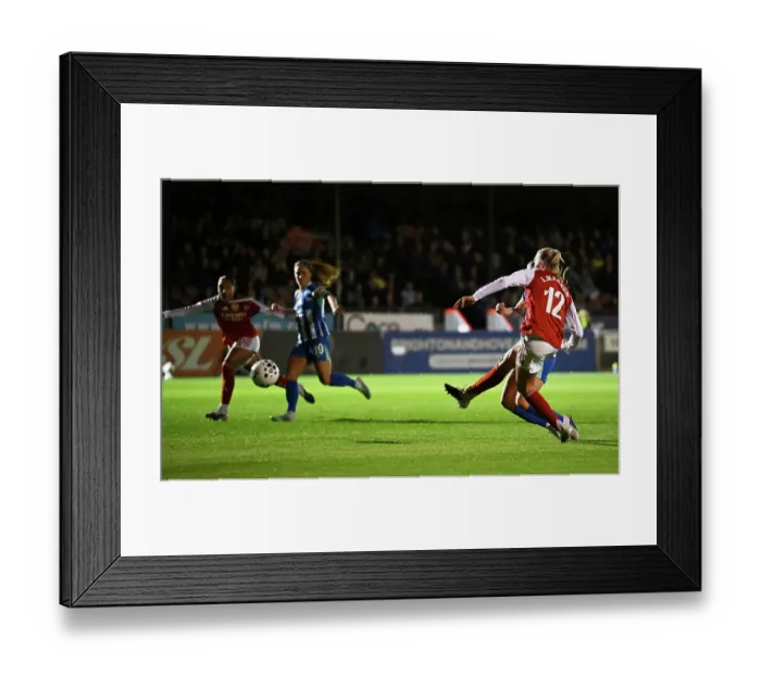Framed Print : Brighton & Hove Albion v Arsenal - Barclays Women's Super League Brighton & Hove Albion v Arsenal - Barclays Women's Super League