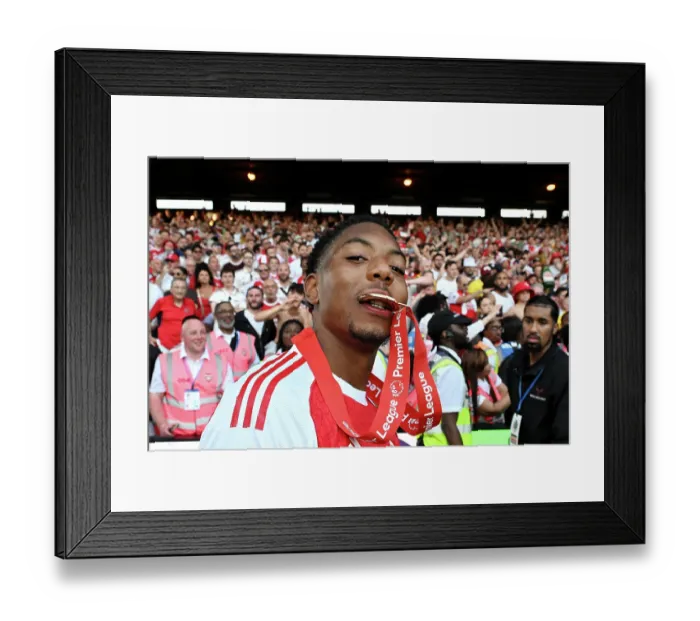 Framed Print : Crystal Palace v Arsenal - Premier League Framed Print : Crystal Palace v Arsenal - Premier League