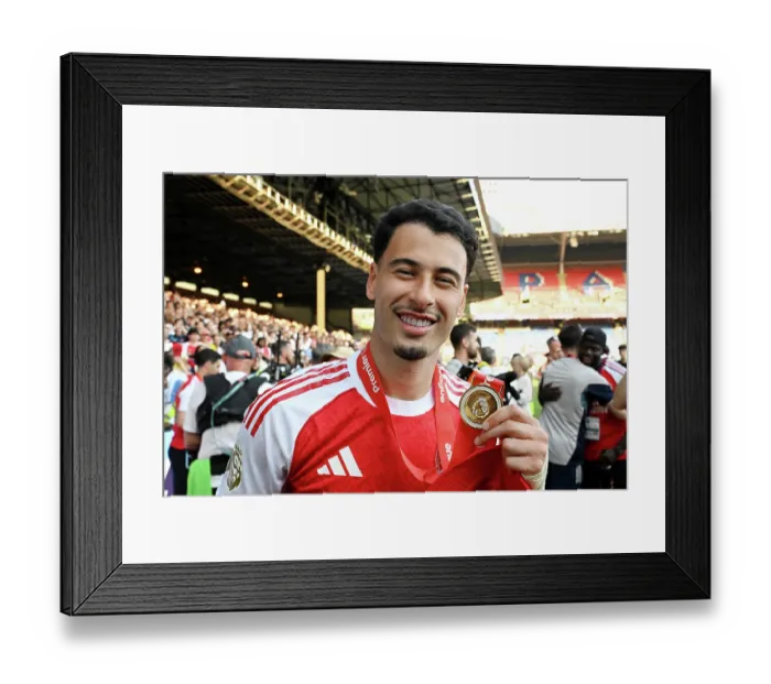 Framed Print : Crystal Palace v Arsenal - Premier League