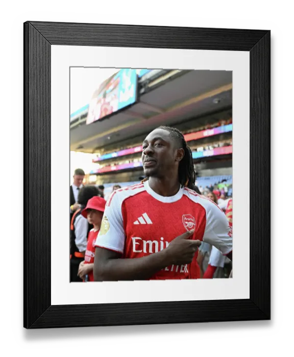 Framed Print : Crystal Palace v Arsenal - Premier League Framed Print : Crystal Palace v Arsenal - Premier League