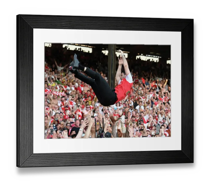 Framed Print : Crystal Palace v Arsenal - Premier League Framed Print : Crystal Palace v Arsenal - Premier League