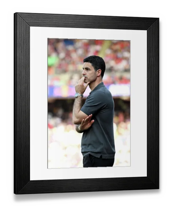 Framed Print : Crystal Palace v Arsenal - Premier League Framed Print : Crystal Palace v Arsenal - Premier League