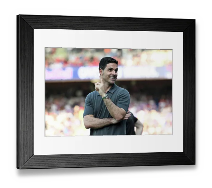 Framed Print : Crystal Palace v Arsenal - Premier League Framed Print : Crystal Palace v Arsenal - Premier League