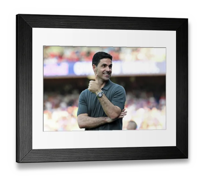 Framed Print : Crystal Palace v Arsenal - Premier League Framed Print : Crystal Palace v Arsenal - Premier League
