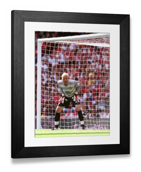 Framed Print : Manuel Almunia's Triumph: Arsenal's Win Over Paris Saint-Germain at Emirates Cup 2007