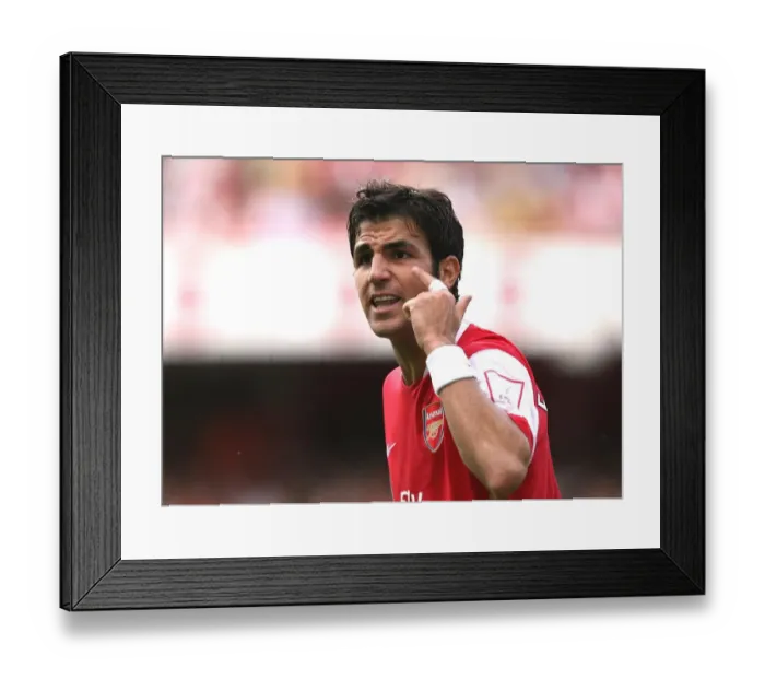 Framed Print : Cesc Fabregas Leads Arsenal to Glory: 2-1 Victory over Inter Milan at Emirates Cup
