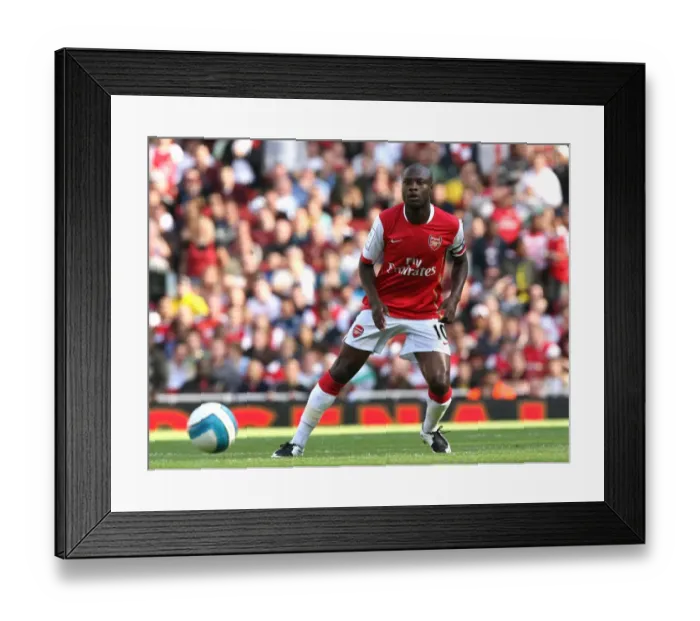 Framed Print : William Gallas (Arsenal) Framed Print : William Gallas (Arsenal)