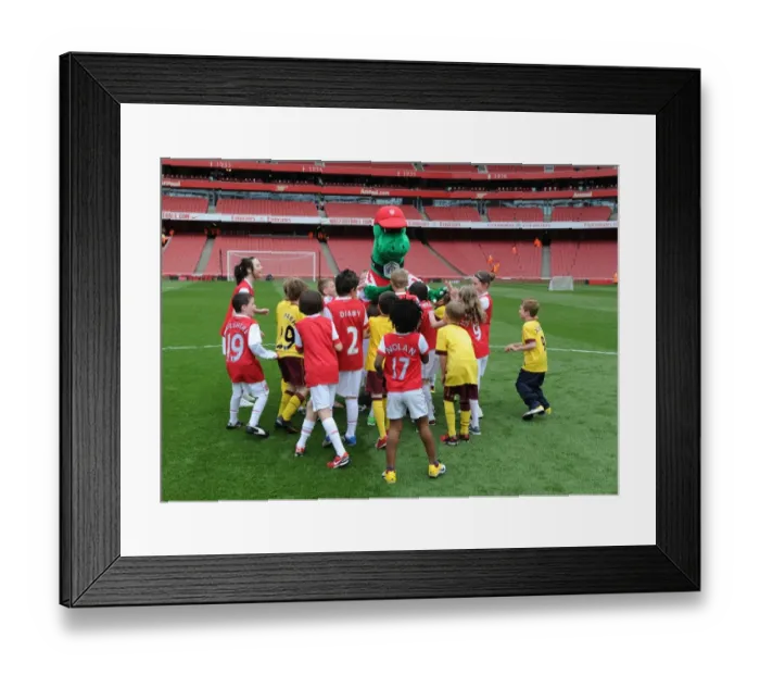 Framed Print : Young Gunners Struggle: Arsenal 1-2 Aston Villa (2011) Framed Print : Young Gunners Struggle: Arsenal 1-2 Aston Villa (2011)