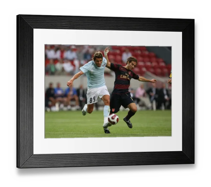 Framed Print : Mathieu Flamini (Arsenal) Valon Behrami (Lazio) Framed Print : Mathieu Flamini (Arsenal) Valon Behrami (Lazio)
