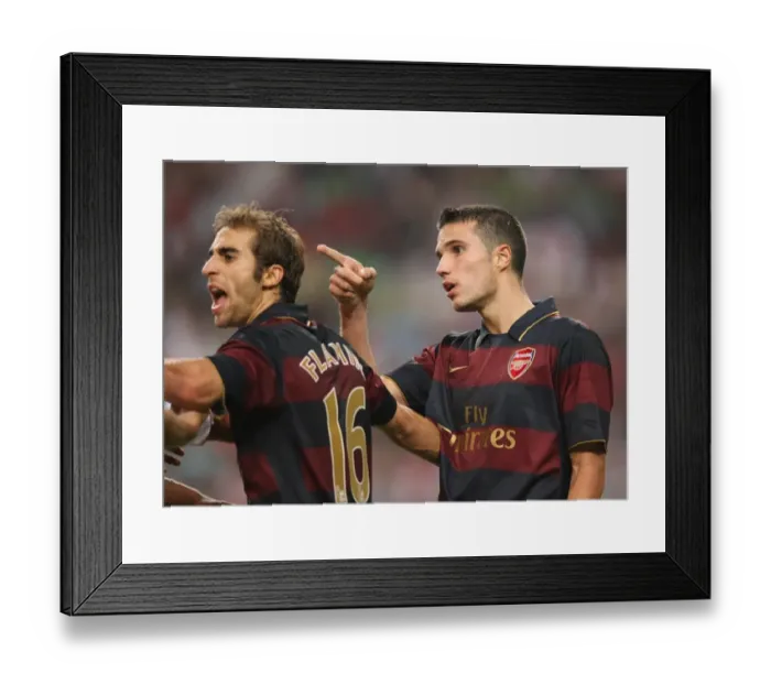 Framed Print : Robin van Persie and Mathieu Flamini (Arsenal) Framed Print : Robin van Persie and Mathieu Flamini (Arsenal)