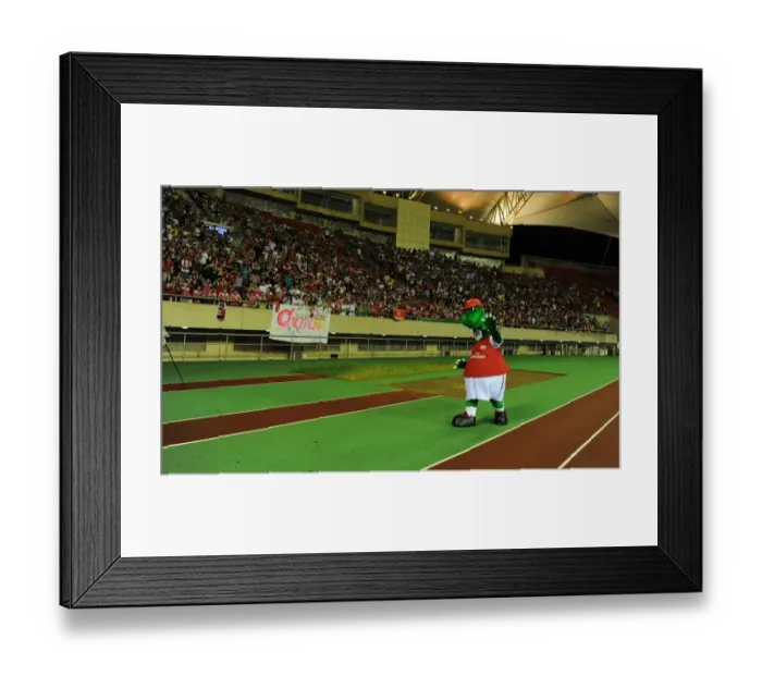 Framed Print : Gunnersaurus in Action: Arsenal's Mascot at 2011 Pre-Season Match in Hangzhou, China Framed Print : Gunnersaurus in Action: Arsenal's Mascot at 2011 Pre-Season Match in Hangzhou, China