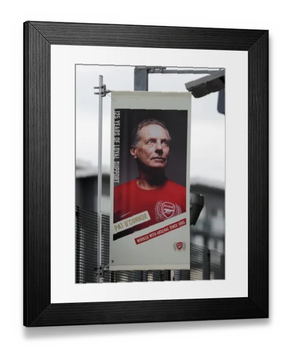 Framed Print : Arsenal Triumphs Over Udinese: 1-0 in UEFA Champions League Qualifier at Emirates Stadium
