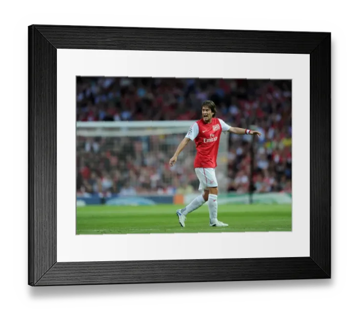 Framed Print : Tomas Rosicky (Arsenal). Arsenal 1: 0 Udinese. UEFA Champins League Qualifying Round, 1st leg Framed Print : Tomas Rosicky (Arsenal). Arsenal 1: 0 Udinese. UEFA Champins League Qualifying Round, 1st leg