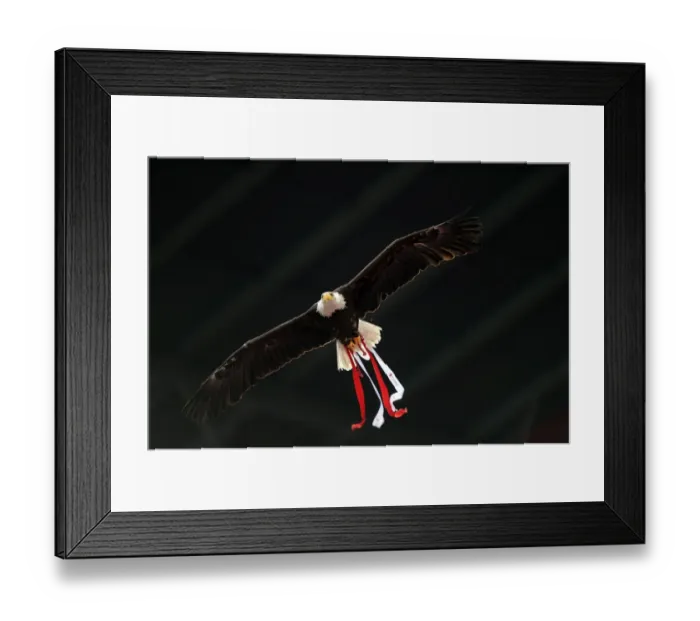 Framed Print : Arsenal vs. Benfica: 2011 Pre-Season Friendly in Lisbon Framed Print : Arsenal vs. Benfica: 2011 Pre-Season Friendly in Lisbon