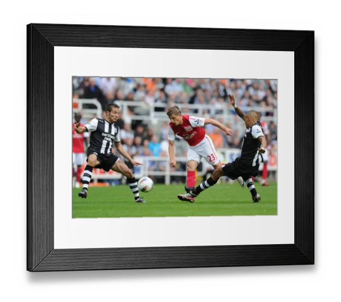 Framed Print : Arshavin Clashes with Simpson and Cabaye: Newcastle United vs. Arsenal, Premier League 2011-12