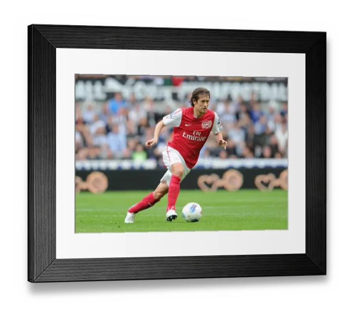 Framed Print : Tomas Rosicky in Action: Newcastle United vs. Arsenal, Premier League 2011-12 Framed Print : Tomas Rosicky in Action: Newcastle United vs. Arsenal, Premier League 2011-12